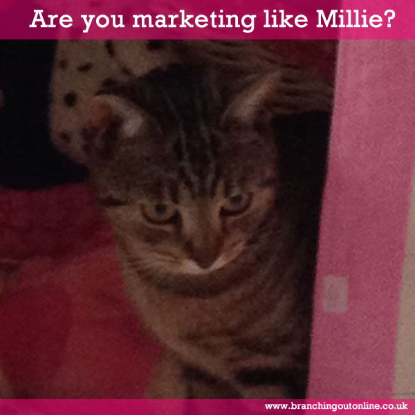 Are you marketing like Millie?